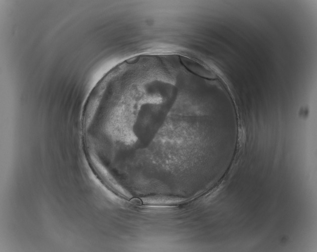 X0000115311487200911161709