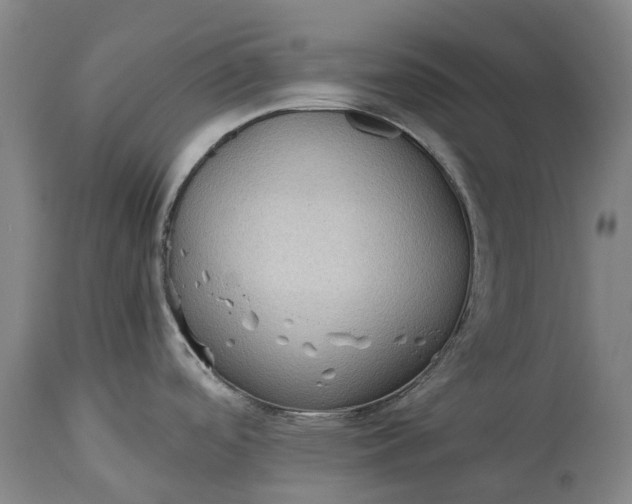 X0000115311488200911161709