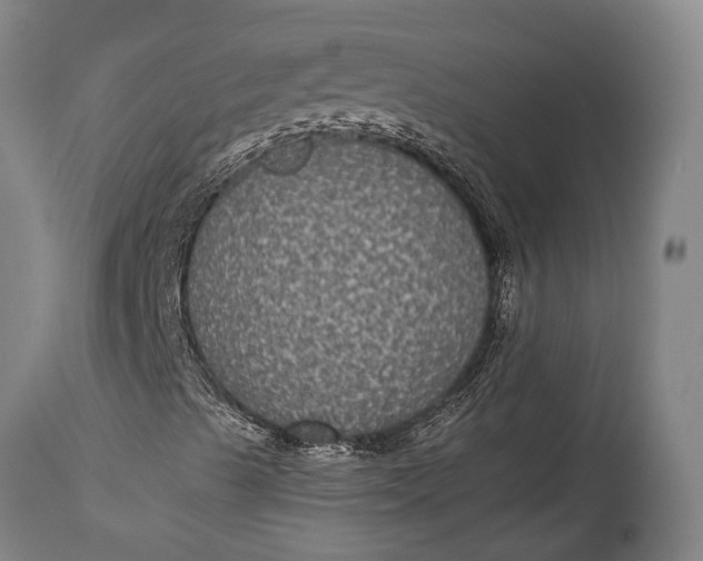 X0000115311489200911161709