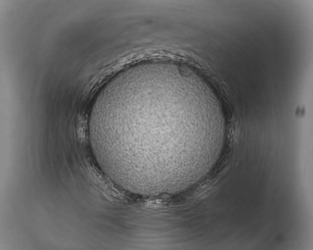 X0000115311490200911161709