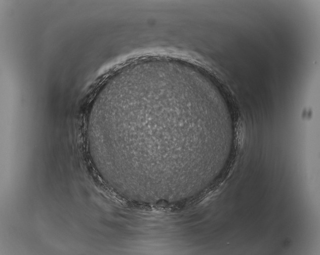 X0000115311494200911161709