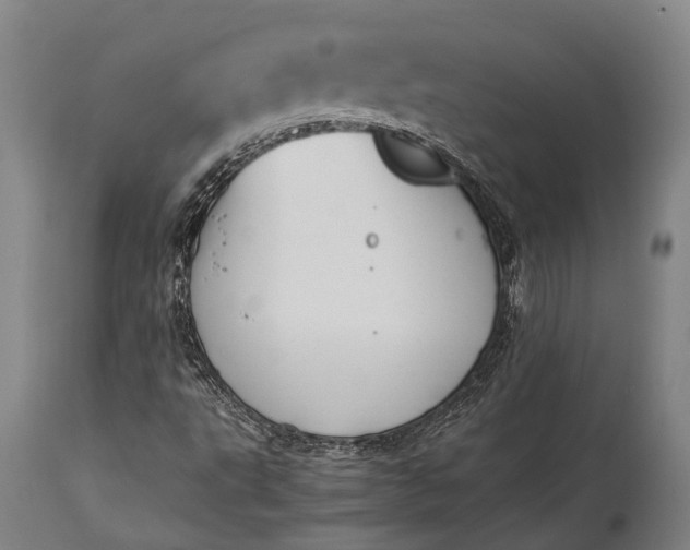 X0000115311495200911161709