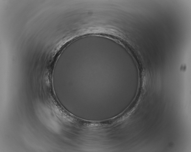 X0000115311497200911161709