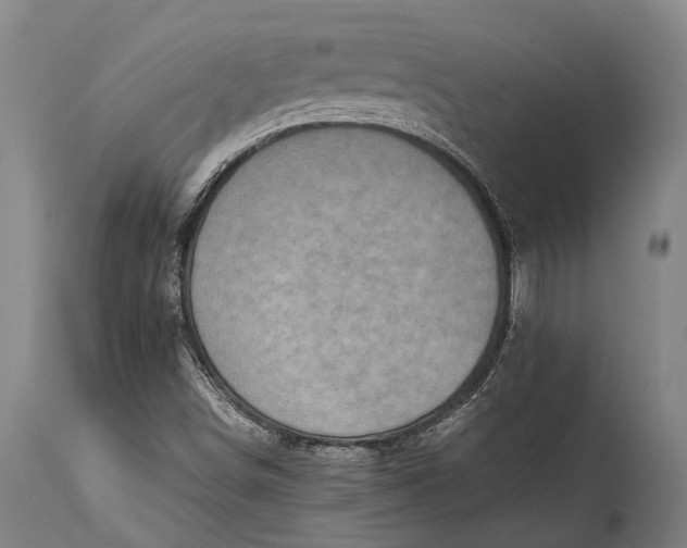 X0000115311498200911161709