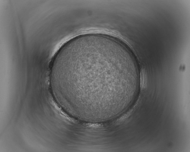 X0000115311501200911161709