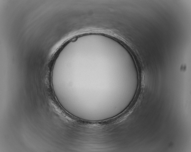 X0000115311502200911161709