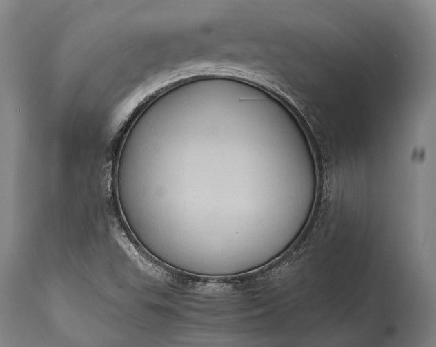 X0000115311503200911161709