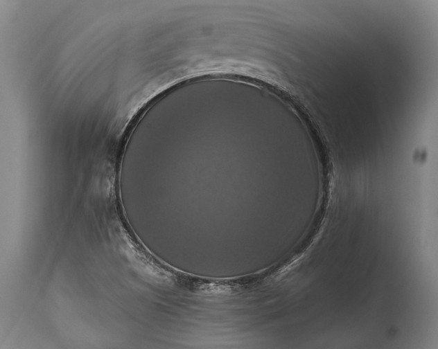 X0000115311505200911161709