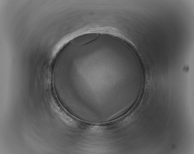 X0000115311506200911161709