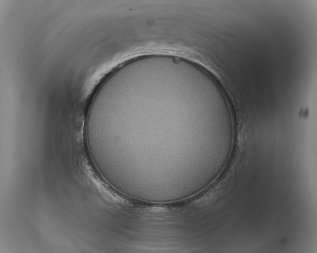 X0000115311507200911161709