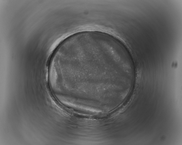 X0000115311509200911161709