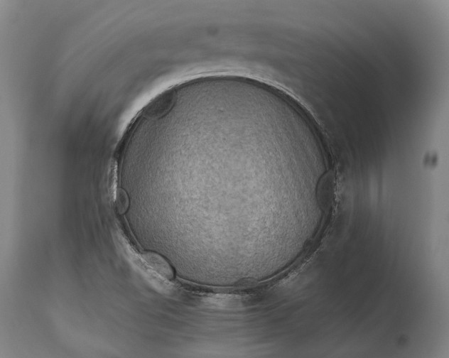 X0000115311510200911161709