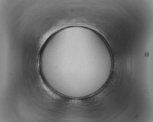 X0000115311511200911161709