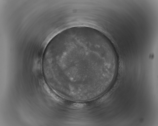 X0000115311513200911161709