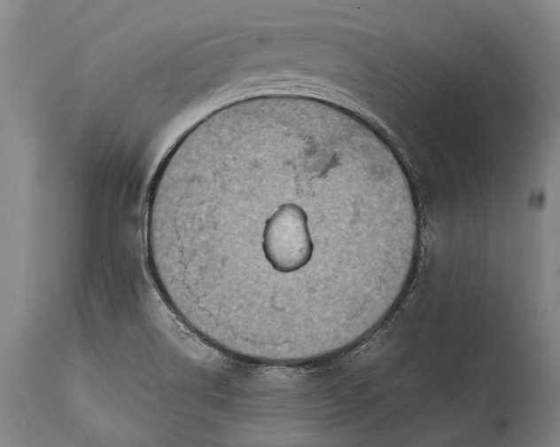 X0000115311514200911161709