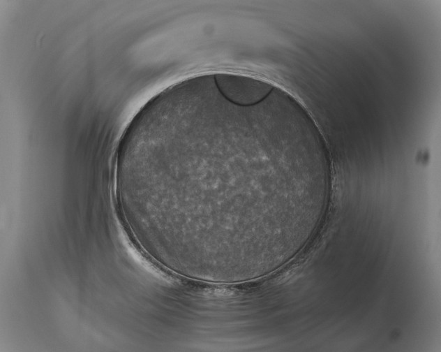 X0000115311515200911161709