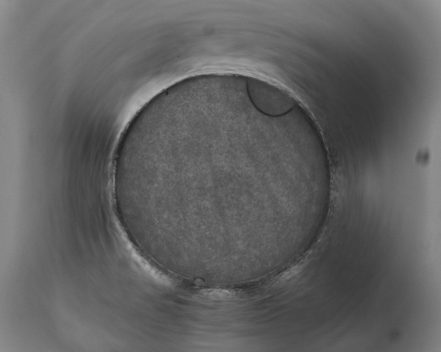 X0000115311517200911161709