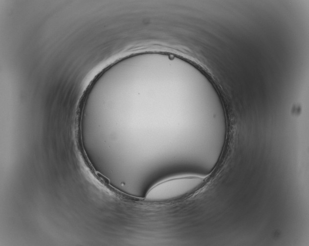 X0000115311518200911161709