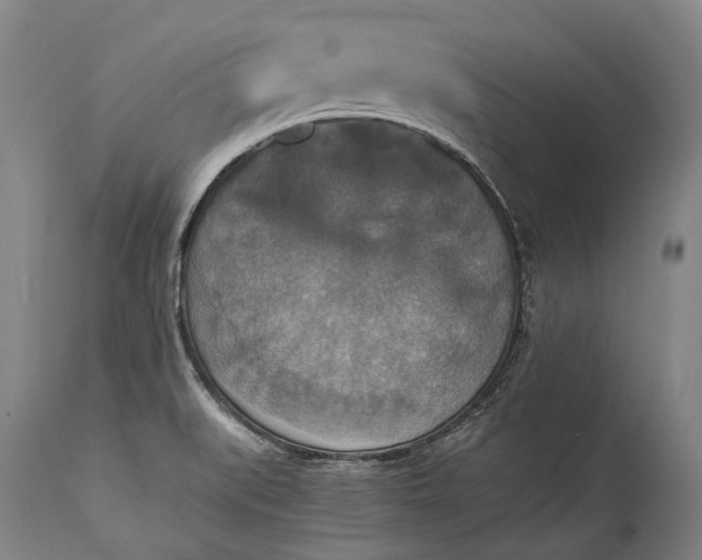 X0000115311519200911161709