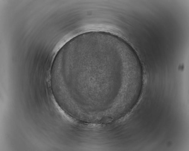 X0000115311521200911161709