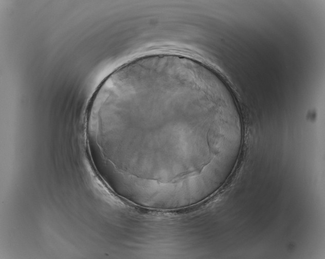 X0000115311522200911161709