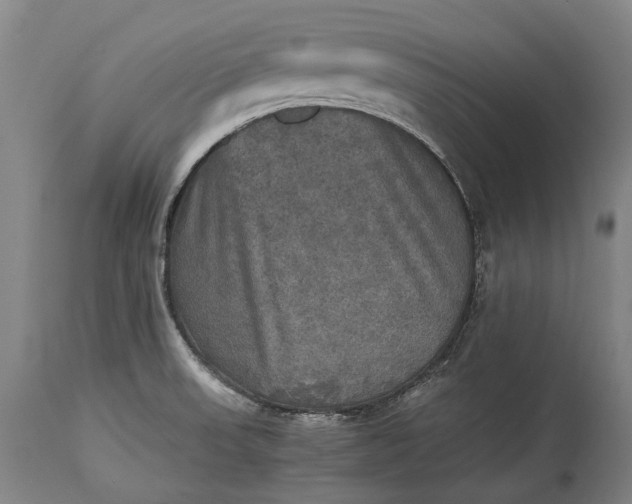 X0000115311523200911161709