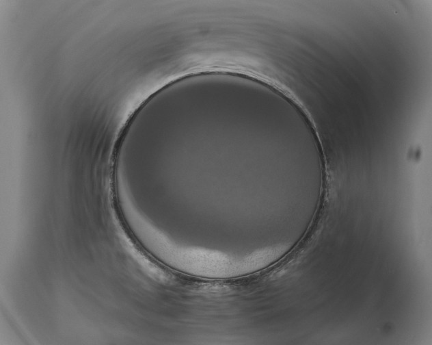 X0000115311525200911161709