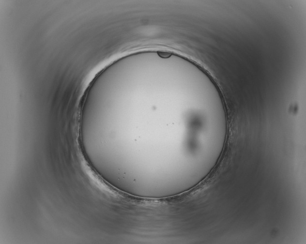 X0000115311526200911161709