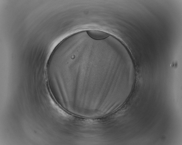 X0000115311527200911161709