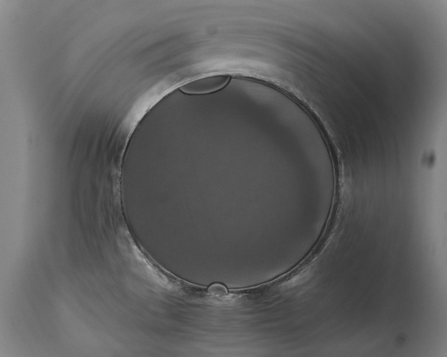 X0000115311529200911161709