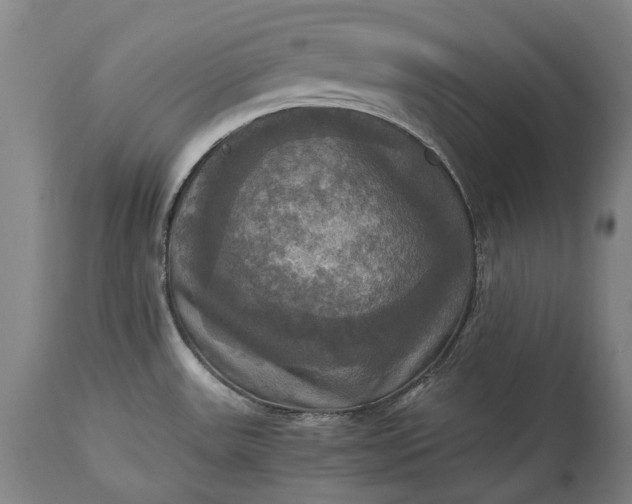 X0000115311531200911161709