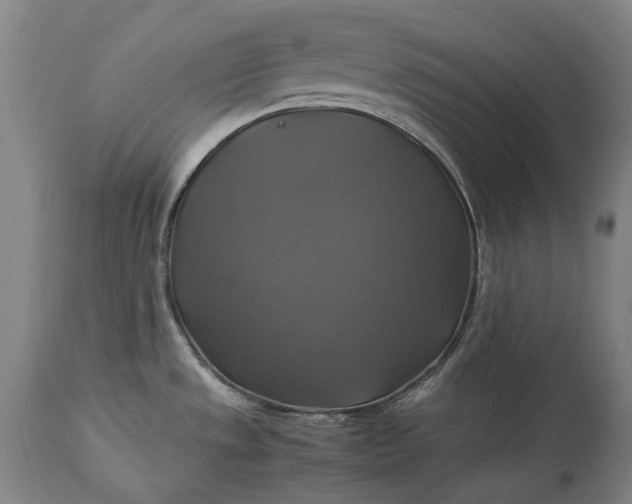 X0000115311533200911161709