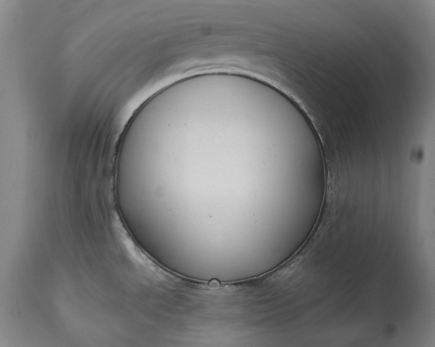 X0000115311534200911161709