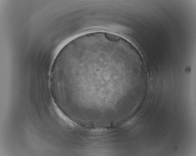 X0000115311535200911161709