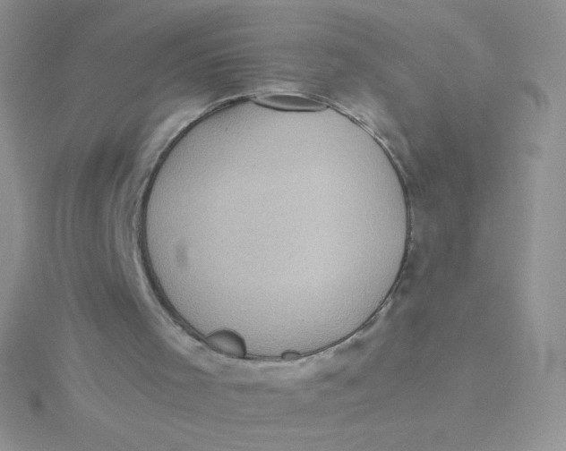 X0000115310001200911231339