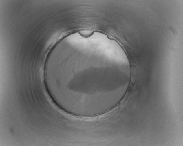 X0000115310002200911231339