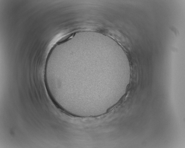 X0000115310003200911231339