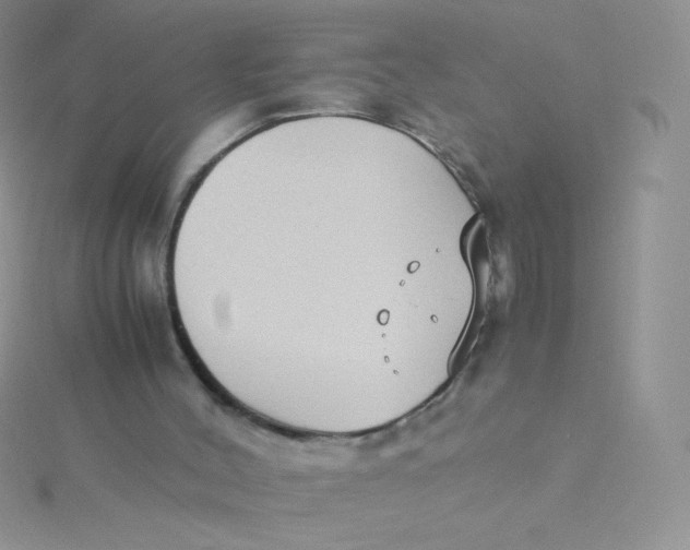 X0000115310004200911231339