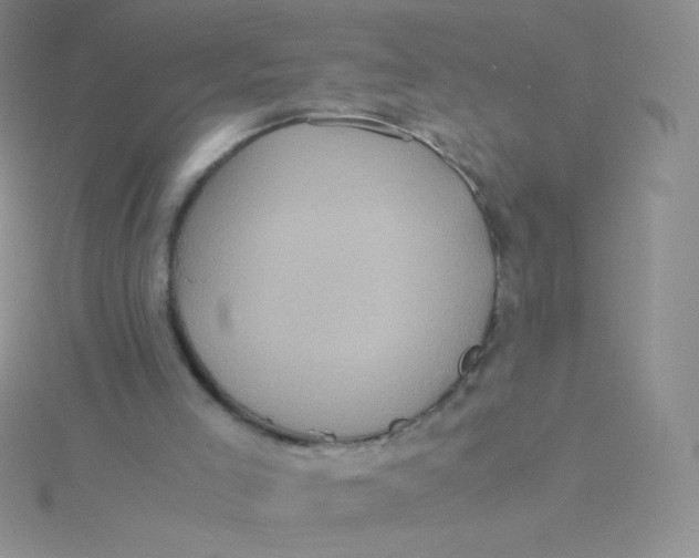 X0000115310005200911231339