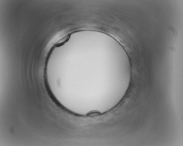 X0000115310007200911231339