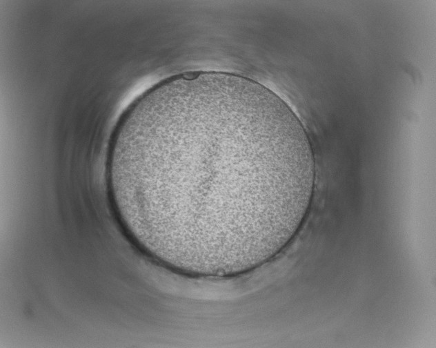 X0000115310008200911231339