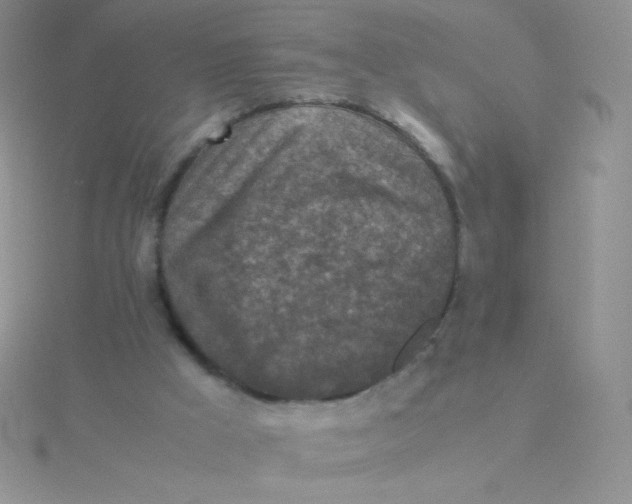 X0000115310009200911231339