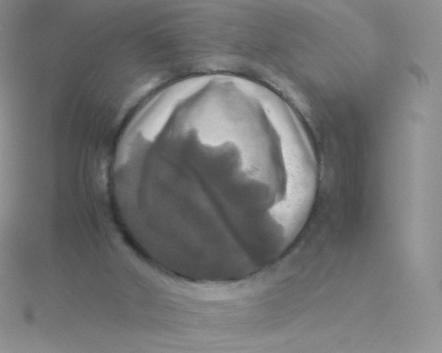 X0000115310010200911231339