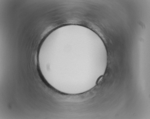 X0000115310011200911231339