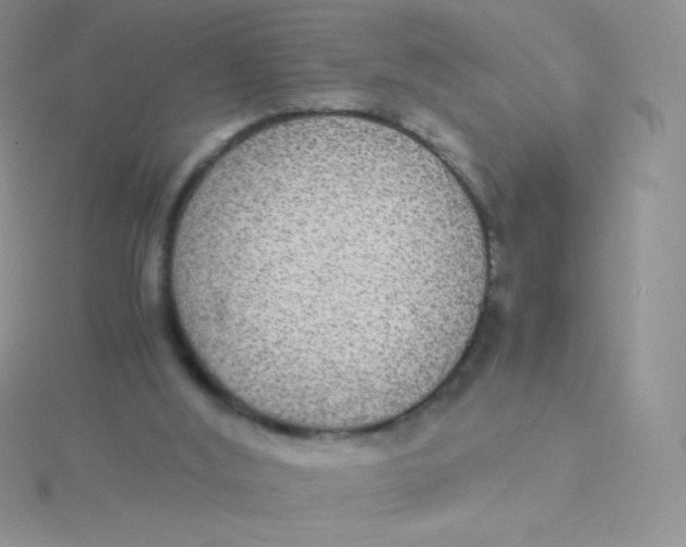 X0000115310012200911231339