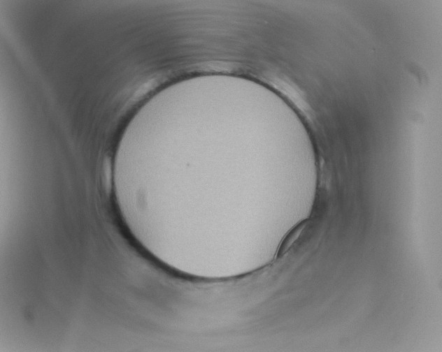 X0000115310013200911231339