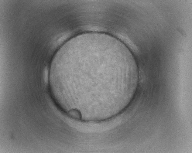 X0000115310014200911231339