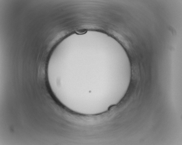 X0000115310015200911231339