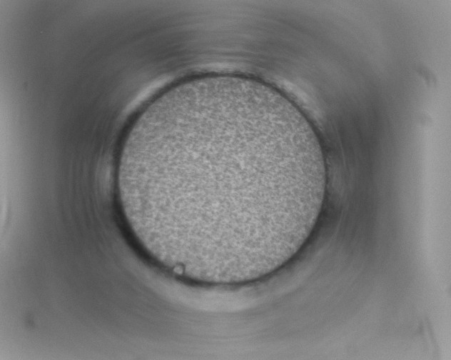 X0000115310016200911231339