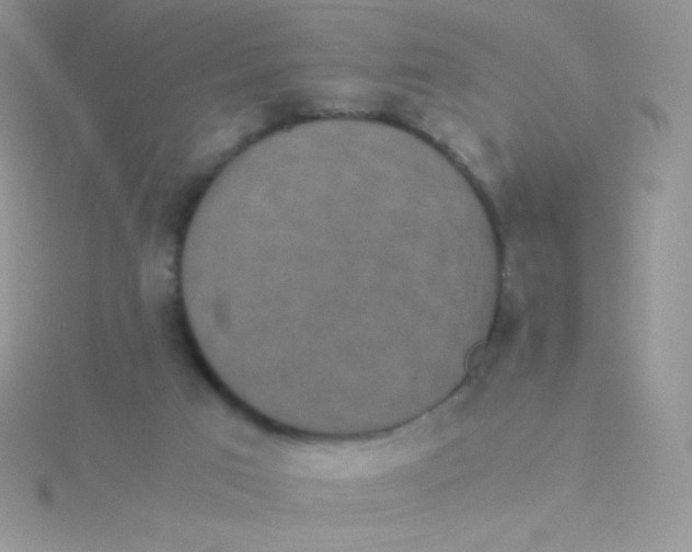 X0000115310017200911231339